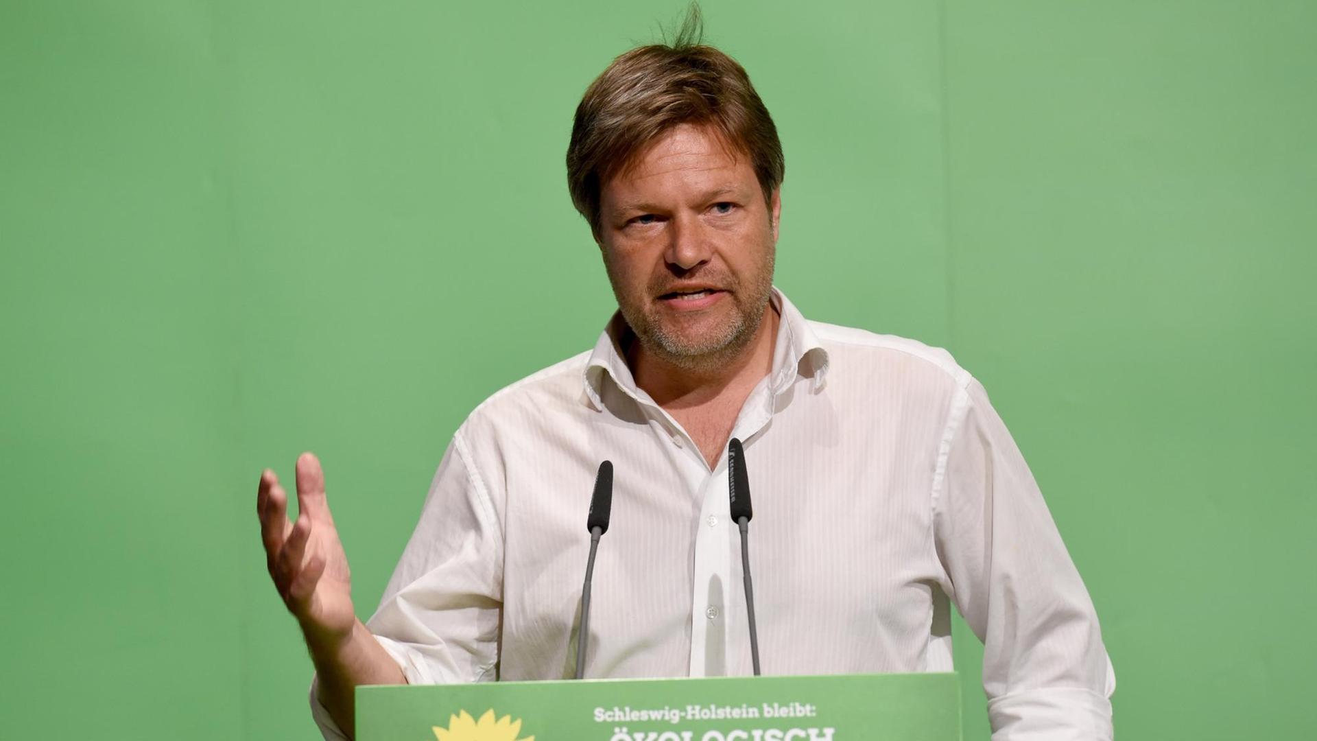Der schleswig-holsteinische Umwelt- und Landwirtschaftsminister Robert Habeck (Bündnis90/Die Grünen) spricht in Neumünster bei einem Parteitag. Der schleswig-holsteinische Umwelt- und Landwirtschaftsminister Robert Habeck (Bündnis90/Die Grünen) spricht in Neumünster bei einem Parteitag.