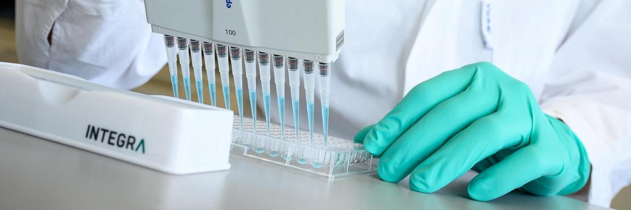 Ein Mann pipettiert in einem Labor des biopharmazeutischen Unternehmens Curevac eine blaue Flüssigkeit. Ein Mann pipettiert in einem Labor des biopharmazeutischen Unternehmens Curevac eine blaue Flüssigkeit.