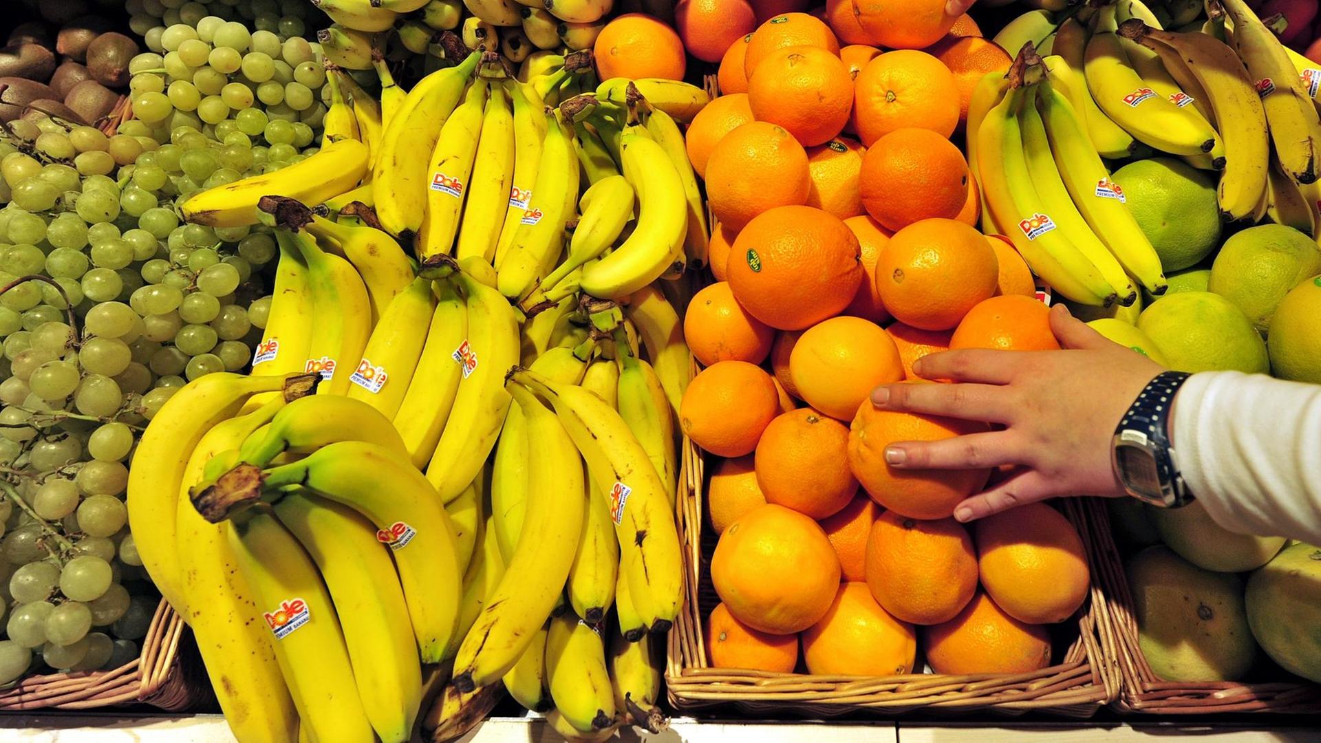 Frisches Obst wird in einem Supermarkt in Leipzig angeboten Frisches Obst wird in einem Supermarkt in Leipzig angeboten
