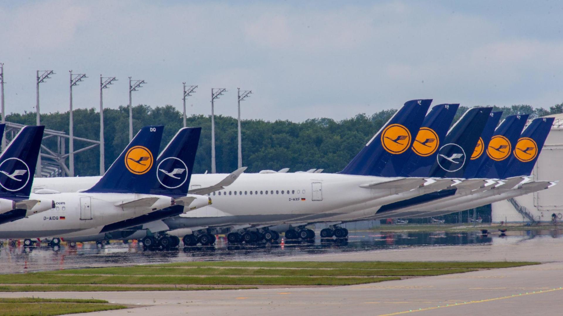 Flugzeuge der Lufthansa stehen am Flughafen in München am Boden.