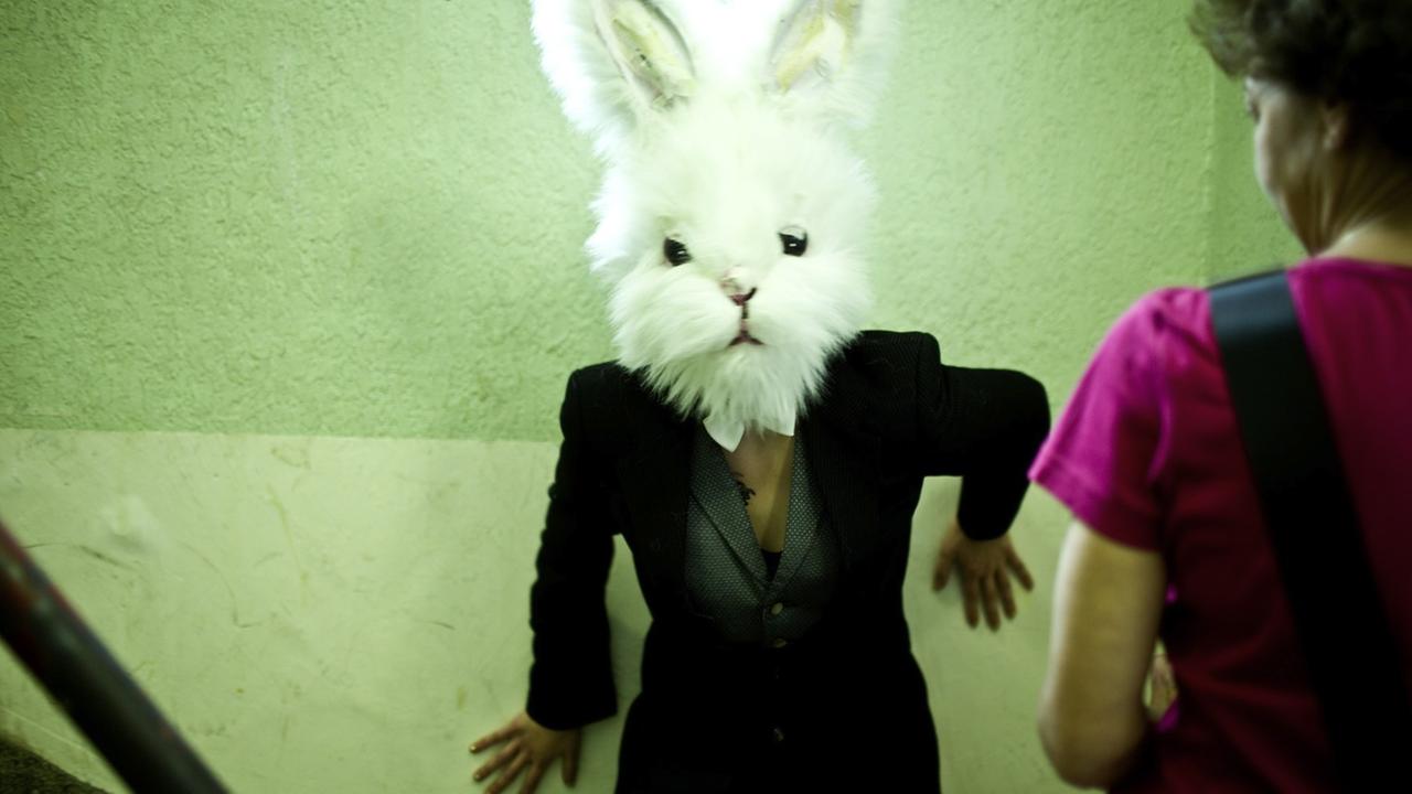 Ein Hase in der Welt der Schildkröten. Das Theaterprojekt: Die Stadt der Schildkröten Ein Hase in der Welt der Schildkröten. Das Theaterprojekt: Die Stadt der Schildkröten