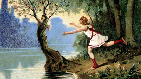Auf einem Sammelbild aus den 30er-Jahren ist eine Frau am Flussufer dargestellt, die sich gerade in einen Baum verwandelt, während ein junger Mann in griechisch anmutender Kleidung ihr hinterher stürmt.