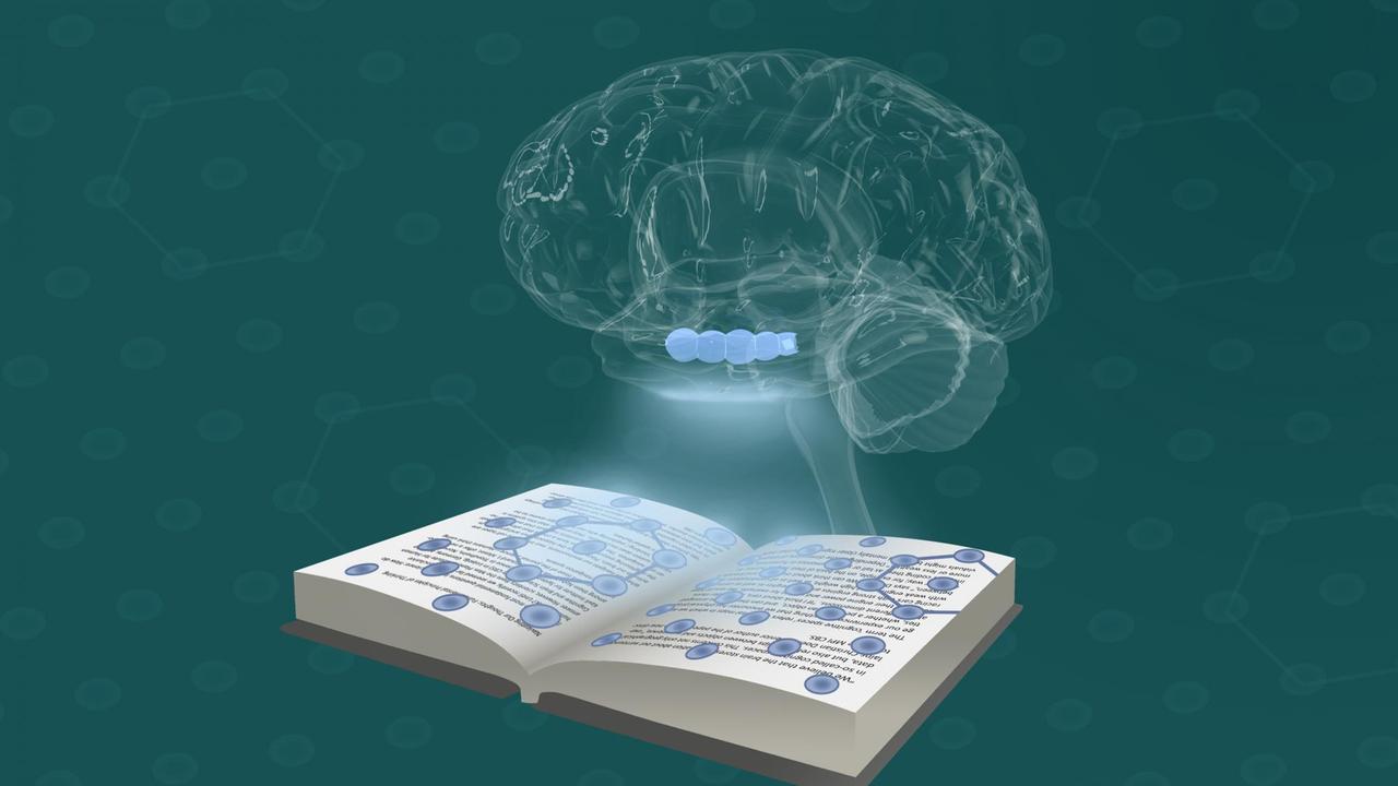 Computerillustration: geometrisch kartierte Informationen aus einem aufgeschlagenen Buch werden in ein darüber schwebendes schemenhaftes Hirn projiziert 