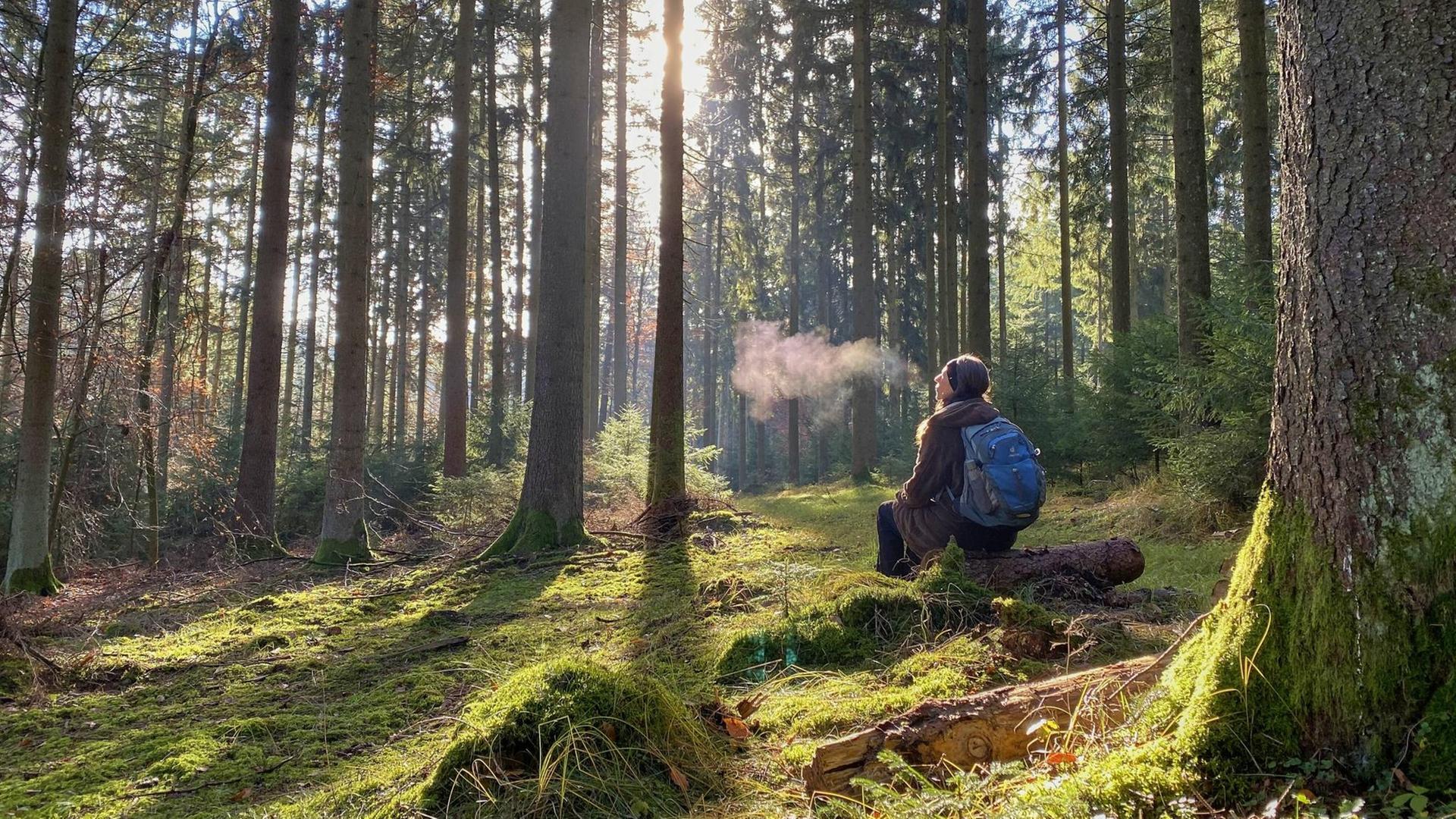 Eine Wanderin sitzt auf einem Baumstamm im Wald. Eine Wanderin sitzt auf einem Baumstamm im Wald.