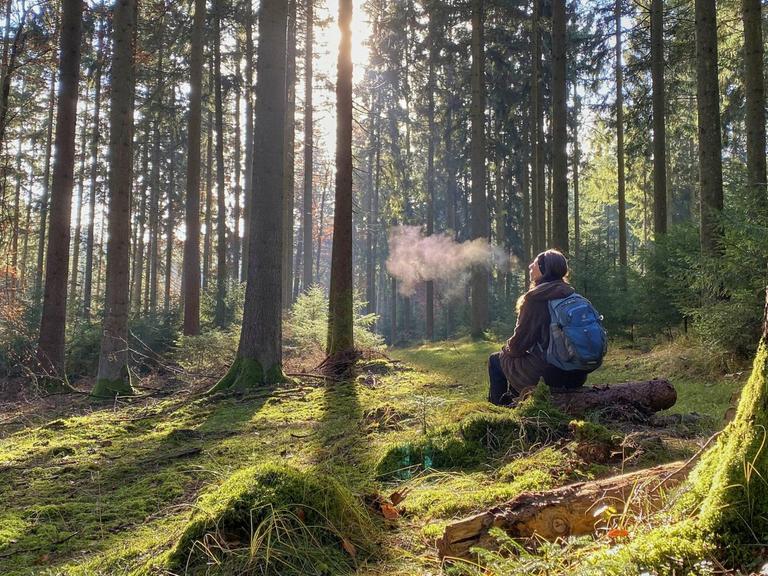 Eine Wanderin sitzt auf einem Baumstamm im Wald.