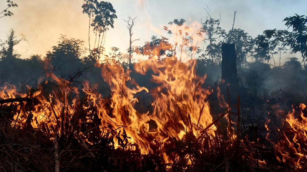 Tenharim, Indigene, Brandrodung, Amazonas Tenharim, Indigene, Brandrodung, Amazonas