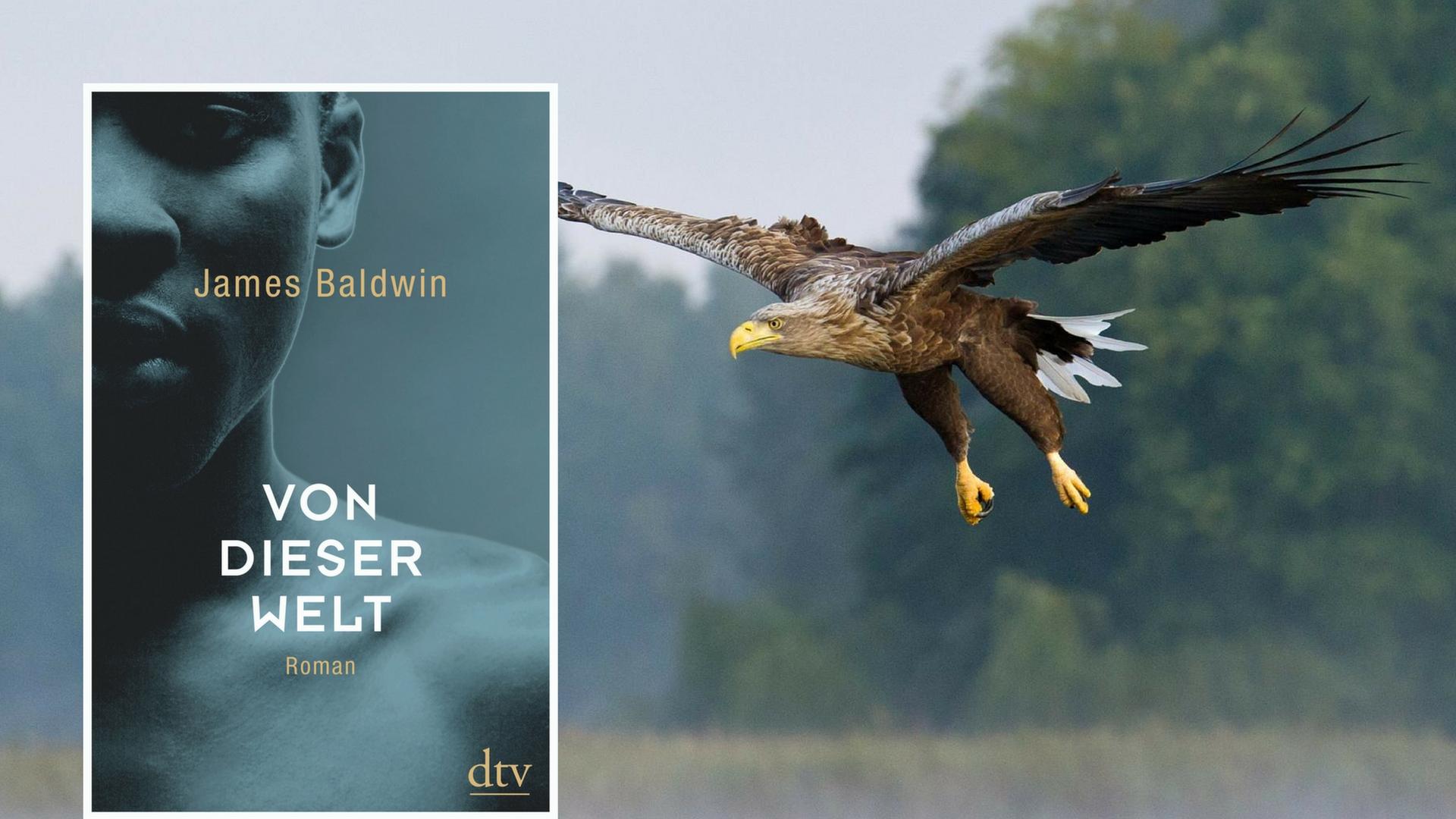 Buchcover: James Baldwin: "Von dieser Welt" Buchcover: James Baldwin: "Von dieser Welt"