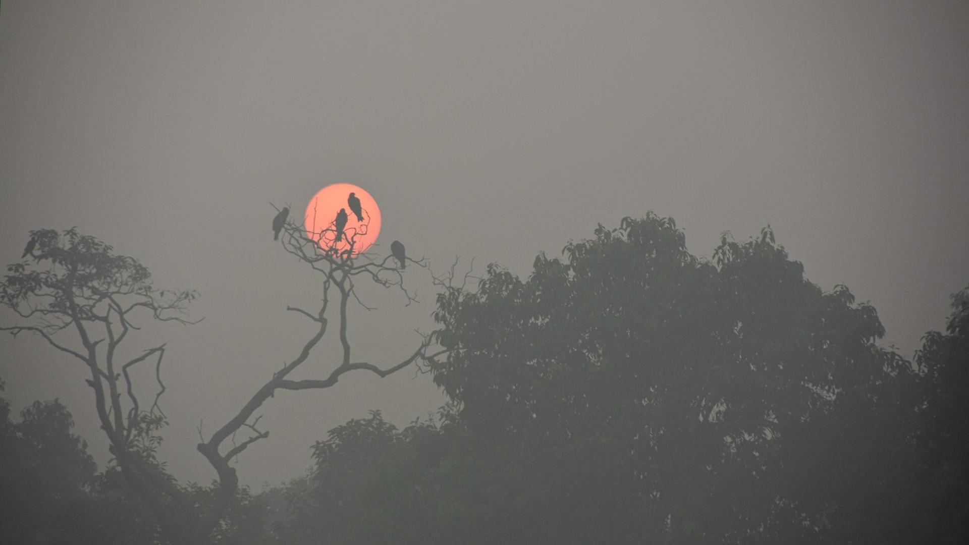 Die romantische Stimmung zum Sonnenaufgang ist vor lauter Smog kaum zu erkennen. Die romantische Stimmung zum Sonnenaufgang ist vor lauter Smog kaum zu erkennen.