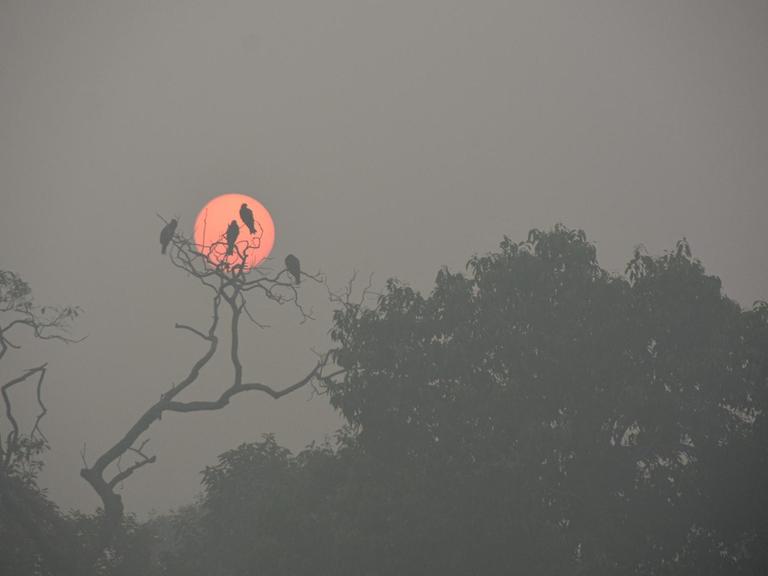 Die romantische Stimmung zum Sonnenaufgang ist vor lauter Smog kaum zu erkennen.