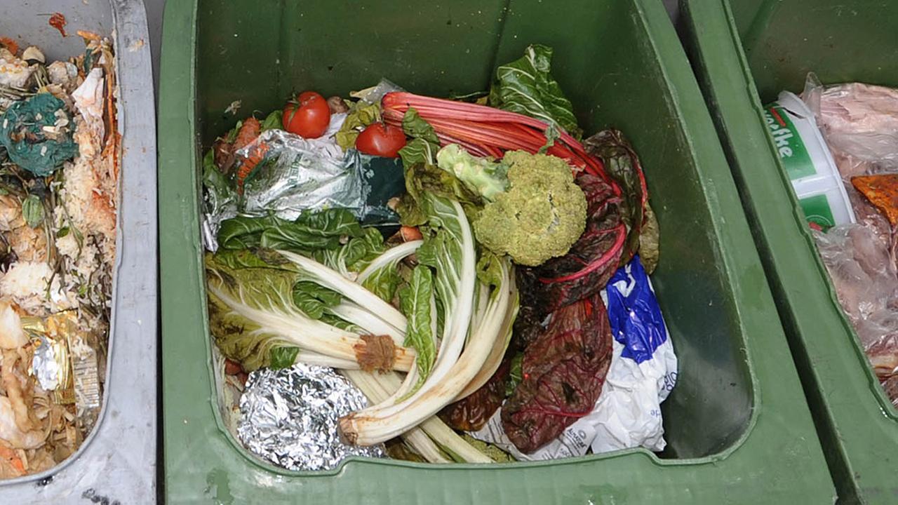 Blick in eine Biotonne, in der neben Obst und Gemüse auch Plastikabfälle zu sehen sind. Blick in eine Biotonne, in der neben Obst und Gemüse auch Plastikabfälle zu sehen sind.