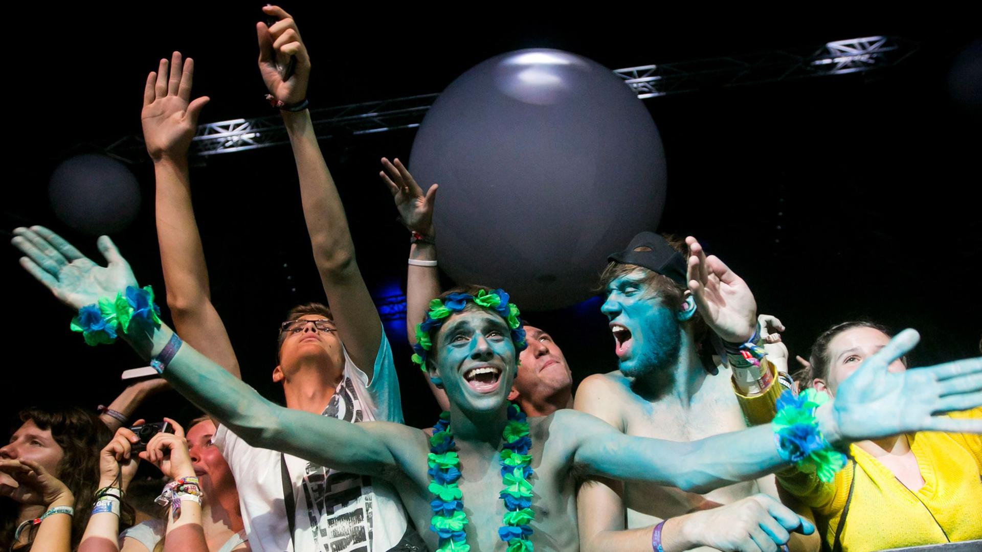 Fans auf dem Sziget 2013 jubeln den Künstlern zu Fans auf dem Sziget 2013 jubeln den Künstlern zu