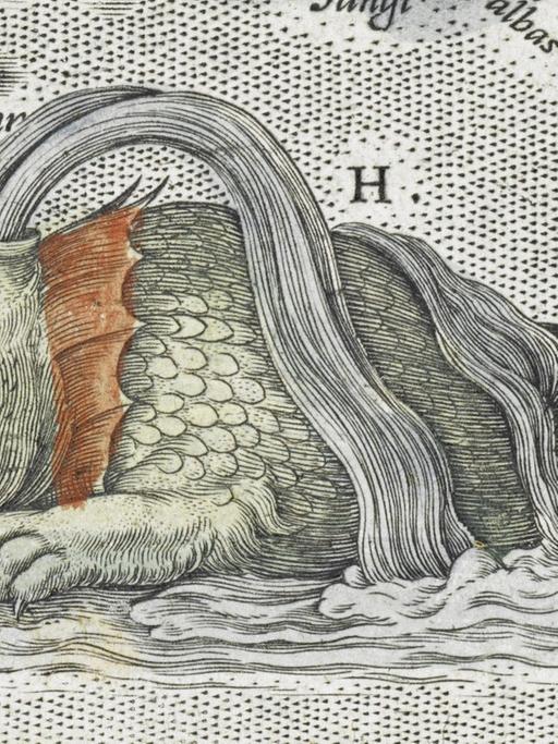 Ein Krakenwesen auf der Karte von Island