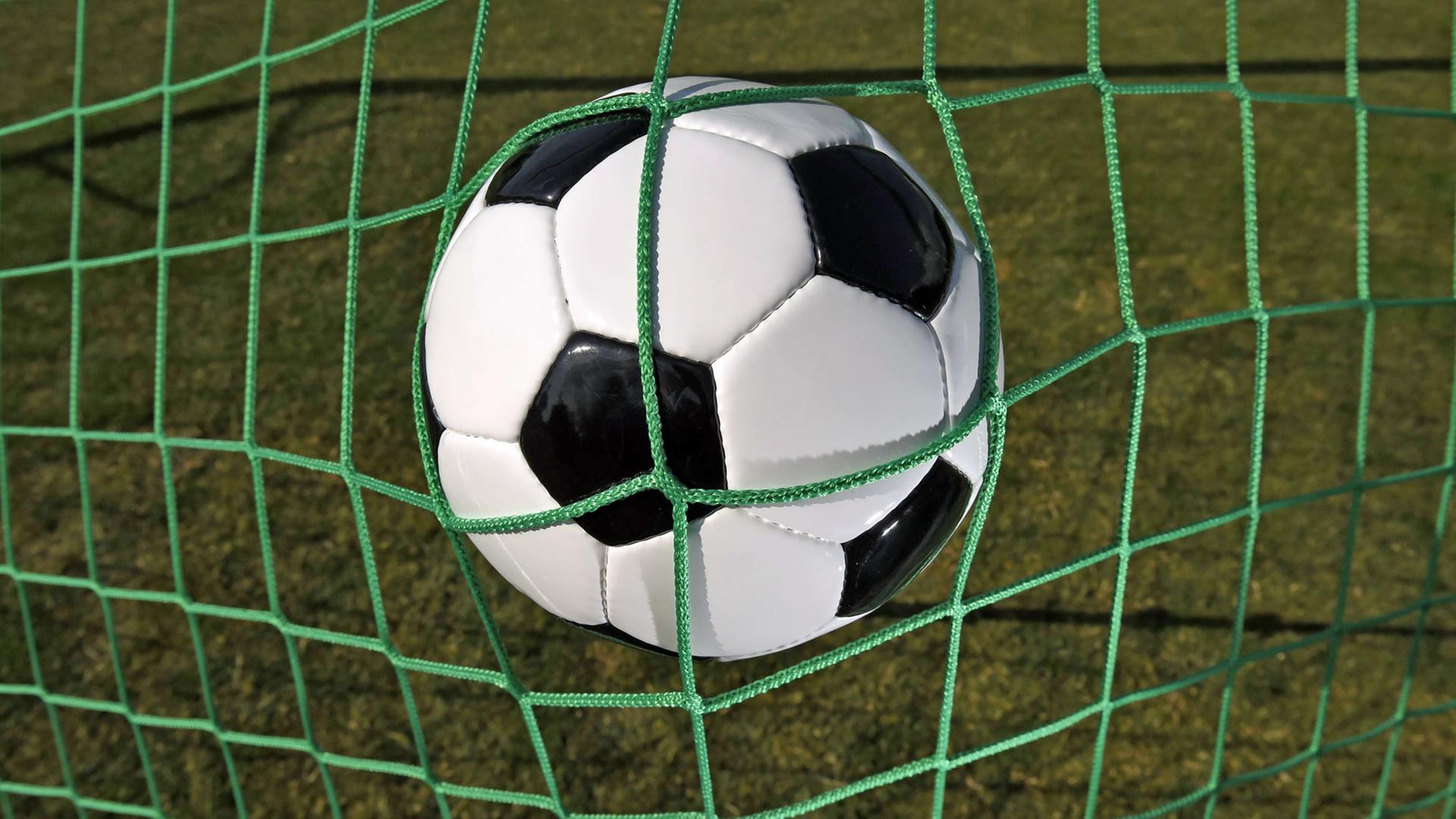 Neutraler Lederball - Fußball-Symbolbild Neutraler Lederball - Fußball-Symbolbild