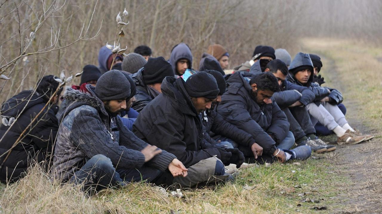 Die ungarische Polizei hat Flüchtlinge abgefangen, die über die Grenze aus Serbien einwandern wollten. Die ungarische Polizei hat Flüchtlinge abgefangen, die über die Grenze aus Serbien einwandern wollten.