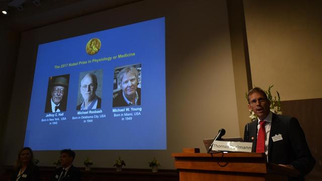Der Vorsitzende des Nobelpreis-Komitees für Physiologie und Medizin, Thomas Perlmann, gibt in Stockholm die Träger des diesjährigen Medizin-Nobelpreises bekannt (auf dem Bildschirm von links nach rechts): Jeffrey C. Hall, Michael Rosbash und Michael W. Young