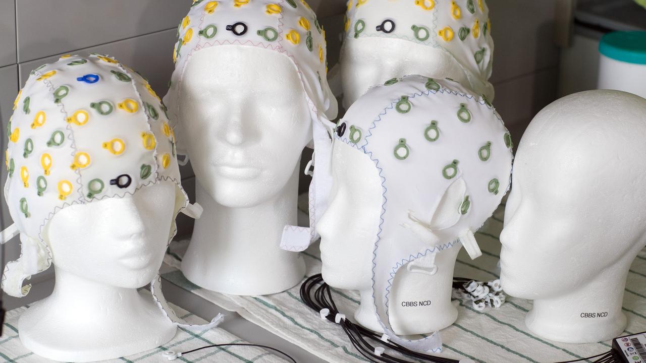 Kunststoffköpfe mit Elektroden-Kopfhauben stehen im Labor für Neurobiologie am Leibniz-Institut in Magdeburg. Kunststoffköpfe mit Elektroden-Kopfhauben stehen im Labor für Neurobiologie am Leibniz-Institut in Magdeburg.