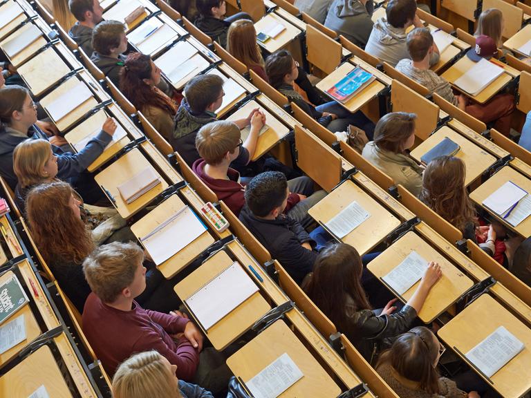 Studenten sitzen in einem Hörsaal bei der Erstsemesterbegrüßung der Universität Koblenz-Landau im April 2014 im Hörsaal.