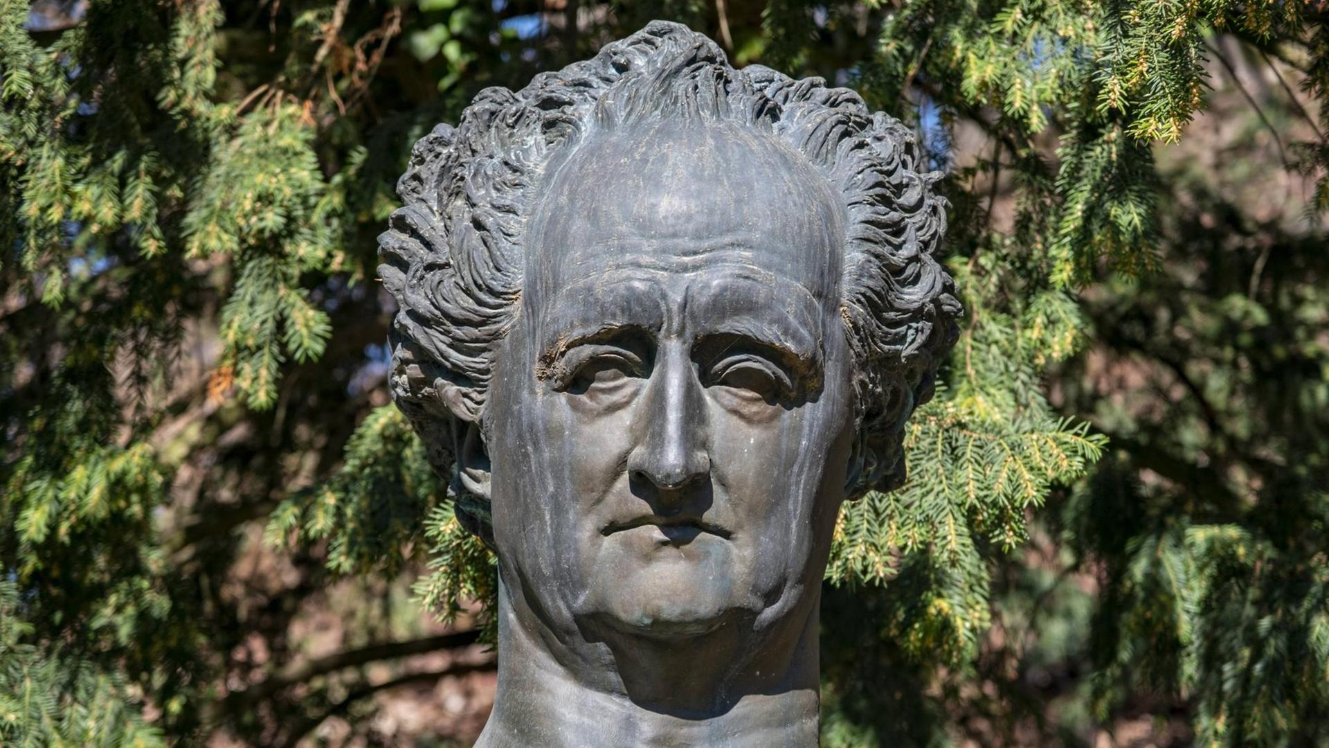 Eine dreckige Statue von Goethe