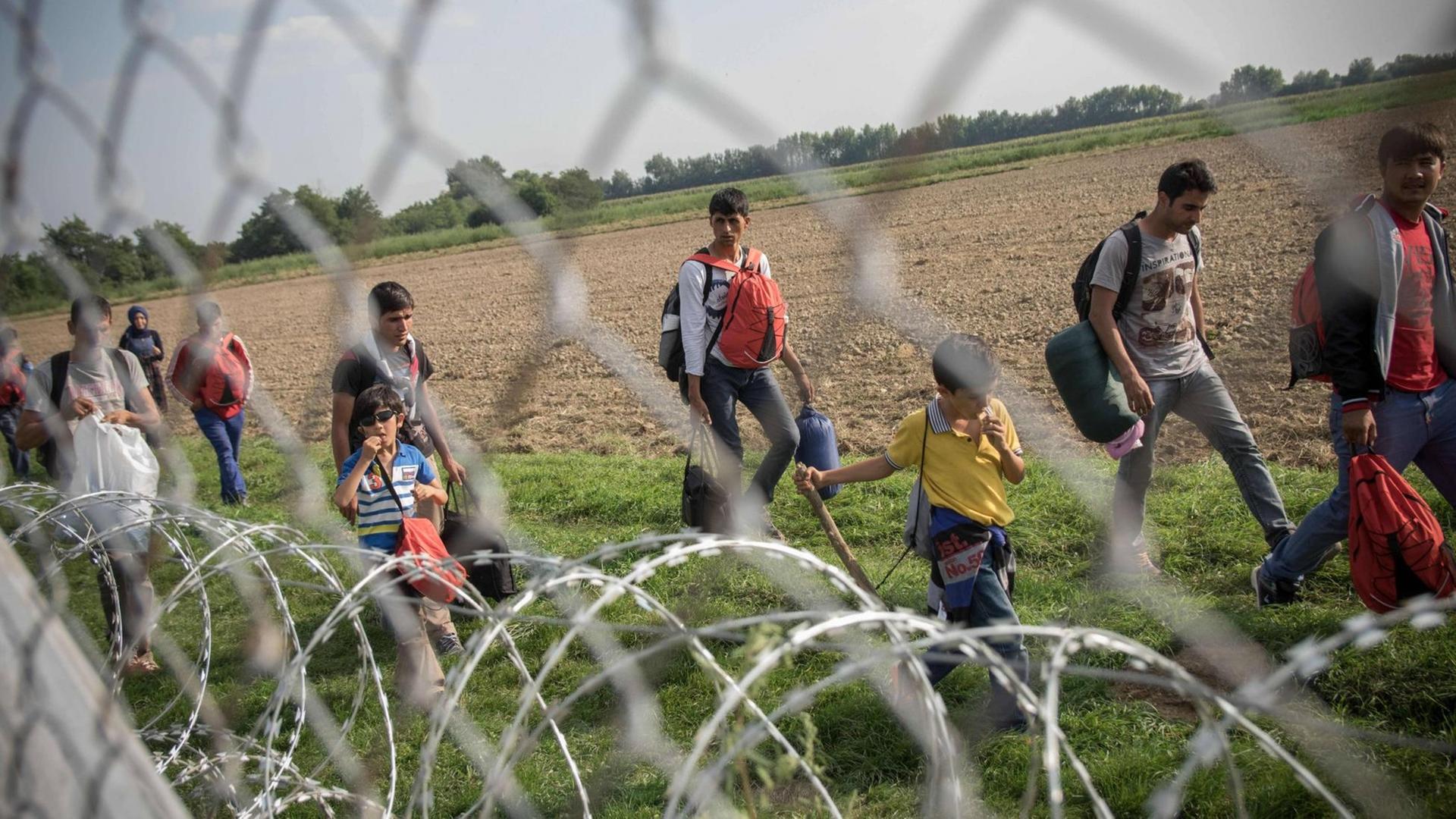 Flüchtlinge an der serbisch-ungarischen Grenze (13. September 2015)