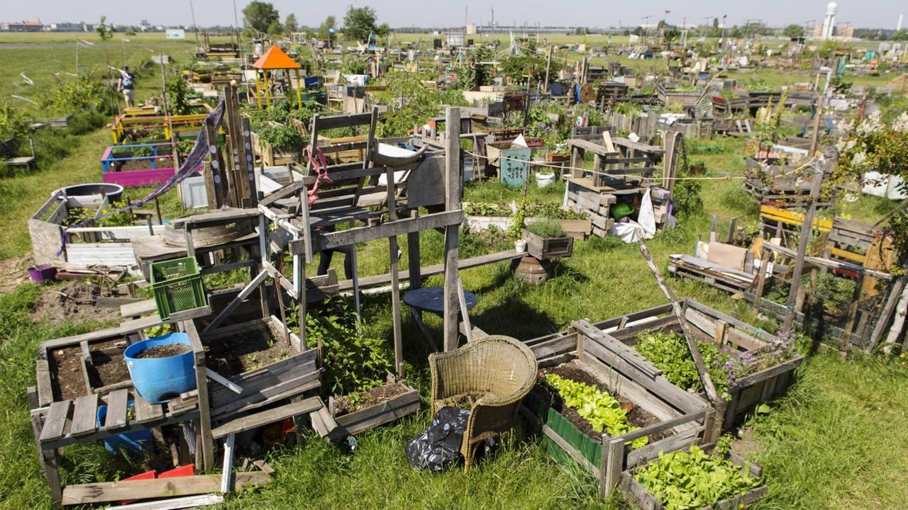 Der Stadtteilgarten Schillerkiez auf dem als Tempelhofer Feld bezeichneten ehemaligen Flughafen Tempelhof in Berlin. Community garden Schillerkiez at the urban park on the airfield of the former airport in Berlin Tempelhof known as Tempelhofer Feld. Tempelhofer Feld the on the as Temple Hofer Freedom former Airport Tempelhof in Berlin Community Garden AT The Urban Park ON The AIRFIELD of The Former Airport in Berlin Tempelhof known As Temple Hofer Field Temple Hofer Field Der Stadtteilgarten Schillerkiez auf dem als Tempelhofer Feld bezeichneten ehemaligen Flughafen Tempelhof in Berlin. Community garden Schillerkiez at the urban park on the airfield of the former airport in Berlin Tempelhof known as Tempelhofer Feld. Tempelhofer Feld the on the as Temple Hofer Freedom former Airport Tempelhof in Berlin Community Garden AT The Urban Park ON The AIRFIELD of The Former Airport in Berlin Tempelhof known As Temple Hofer Field Temple Hofer Field