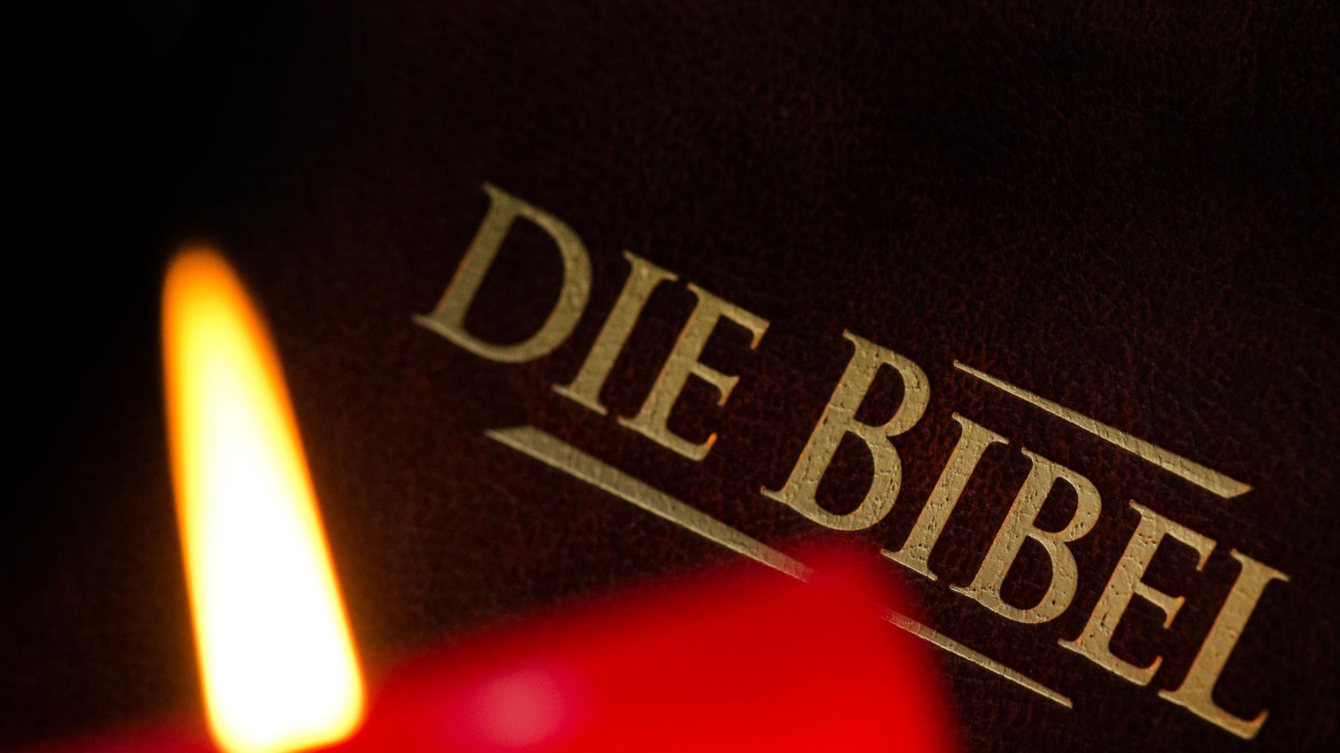 Bibel Bibel