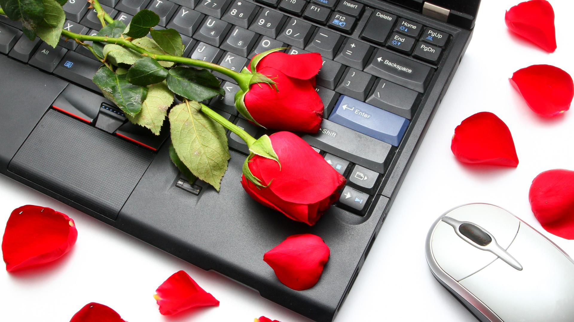 Warum werden so viele Menschen Opfer von Romance Scams? Zu sehen: Eine Tastatur auf einem Tisch, rote Rosen darauf und eine Maus. Warum werden so viele Menschen Opfer von Romance Scams? Zu sehen: Eine Tastatur auf einem Tisch, rote Rosen darauf und eine Maus.