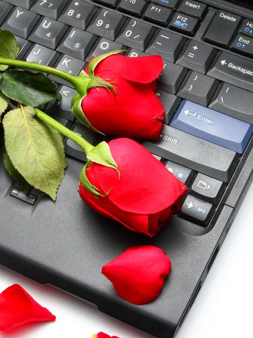 Warum werden so viele Menschen Opfer von Romance Scams? Zu sehen: Eine Tastatur auf einem Tisch, rote Rosen darauf und eine Maus.