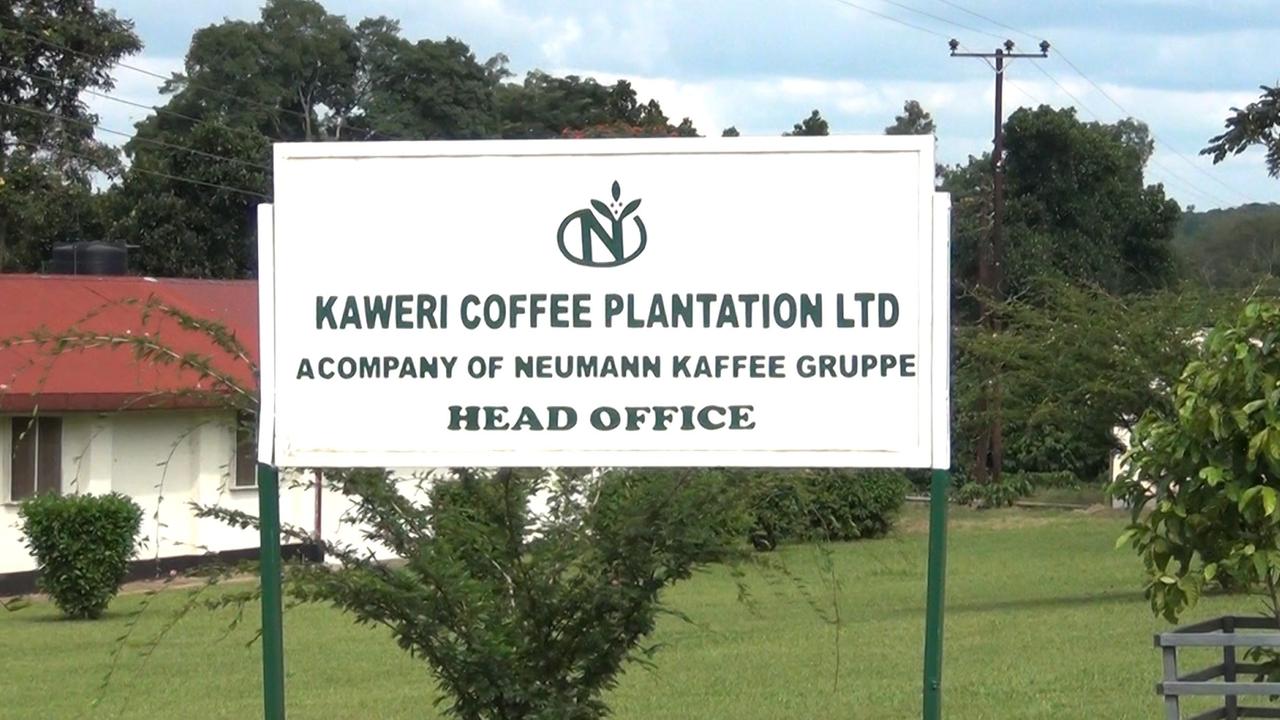 Das Schild der deutschen Kaffeeplantage in Uganda. Das Schild der deutschen Kaffeeplantage in Uganda.