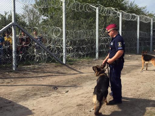 Ungarische Polizisten mit Hunden vor dem Zaun an der Grenze zu Serbien. Jenseits des Zaun stehen Flüchtlinge.