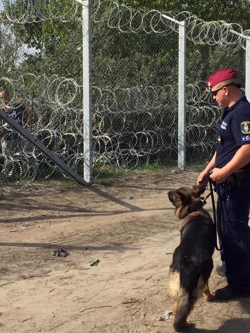 Ungarische Polizisten mit Hunden vor dem Zaun an der Grenze zu Serbien. Jenseits des Zaun stehen Flüchtlinge.