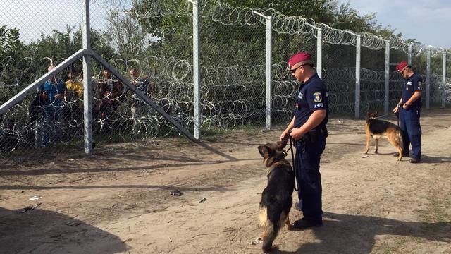 Ungarische Polizisten mit Hunden vor dem Zaun an der Grenze zu Serbien. Jenseits des Zaun stehen Flüchtlinge.
