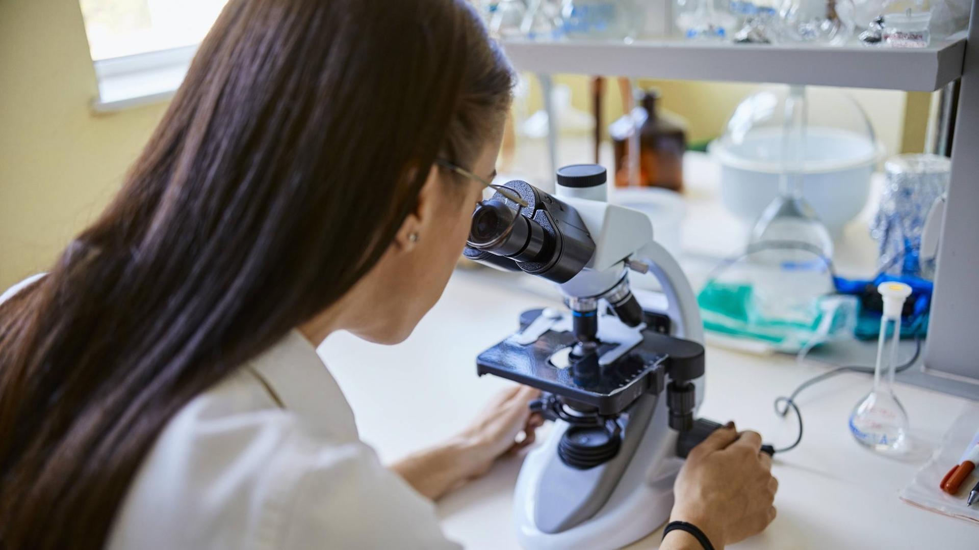Young woman using microscope in laboratory model released Symbolfoto property released PUBLICATIONxINxGERxSUIxAUTxHUNxONLY ZEDF01018 Young woman using microscope in laboratory model released Symbolfoto property released PUBLICATIONxINxGERxSUIxAUTxHUNxONLY ZEDF01018
