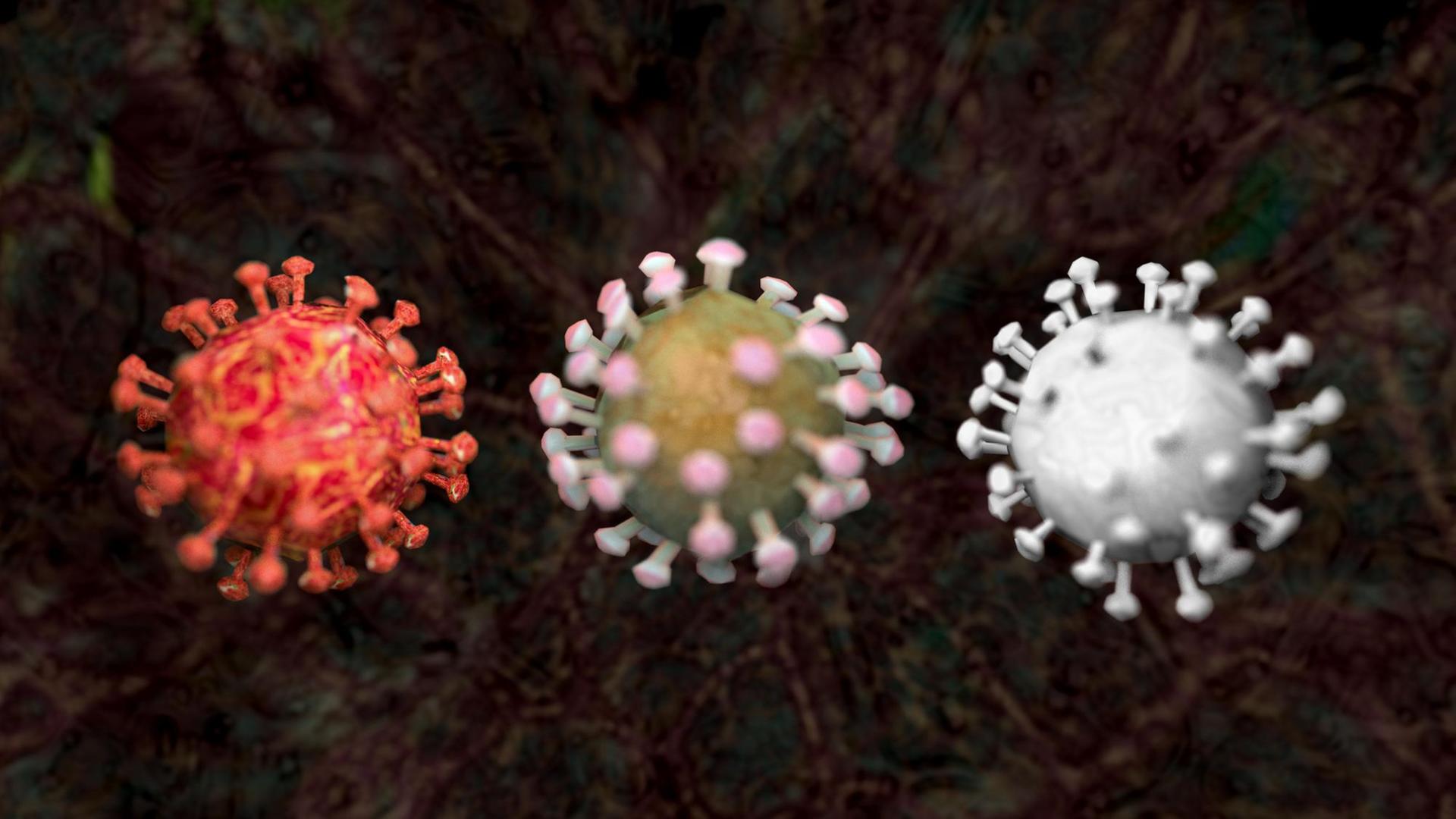 Die Grafik zeigt drei Varianten eines Coronavirus wie des 2020 zur Pandemie gewordenen SARS-CoV-2. Die Grafik zeigt drei Varianten eines Coronavirus wie des 2020 zur Pandemie gewordenen SARS-CoV-2.