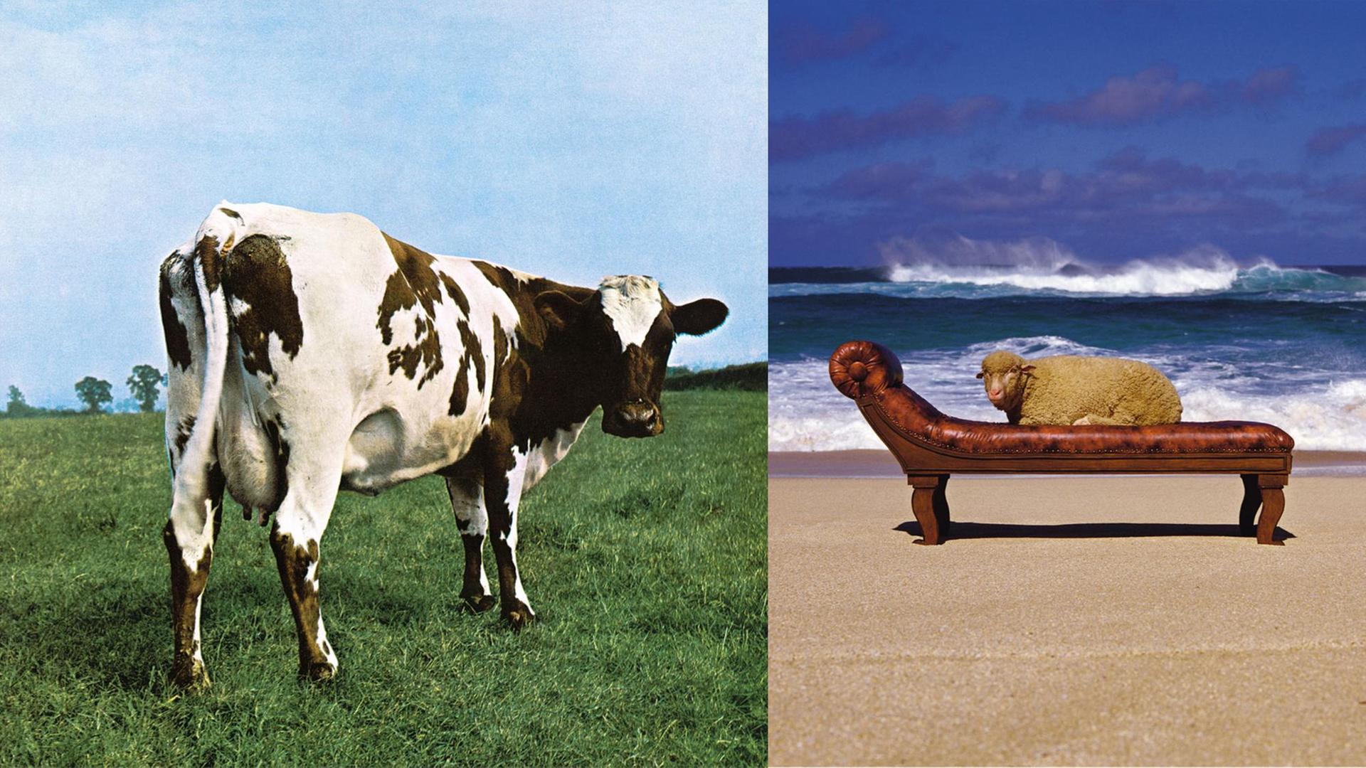 Plattencover von Hipgnosis. Rechts 10cc Look Hear, links Pink Floyd Atom Heart Mother. Plattencover von Hipgnosis. Rechts 10cc Look Hear, links Pink Floyd Atom Heart Mother.