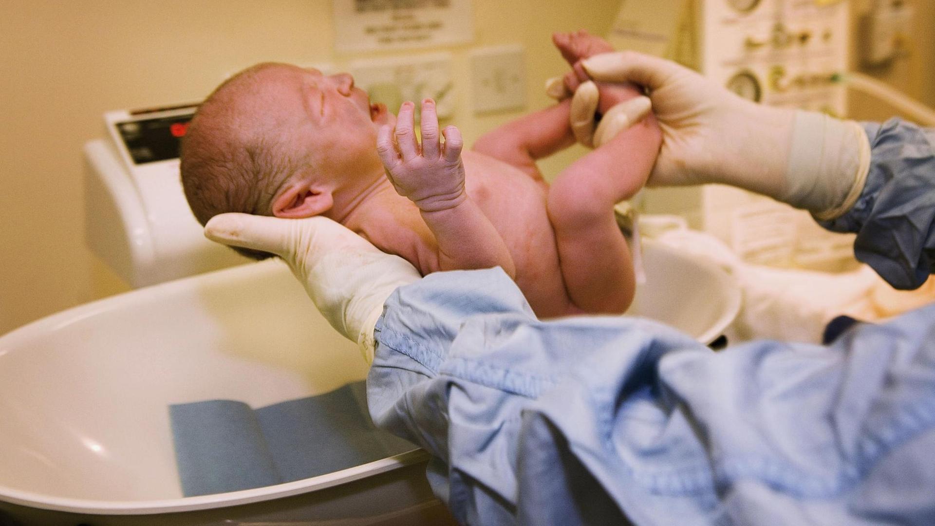 Ein neugeborenes schreiendes Baby wird nach der Geburt von einer Hebamme gewogen. Ein neugeborenes schreiendes Baby wird nach der Geburt von einer Hebamme gewogen.
