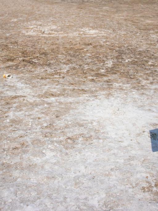 Wasserknappheit in Deutschland: Ein Hinweisschild mit der Aufschrift "Ende des bewachten Badebereichs" steht am Neustädter See schon seit Wochen auf dem Trockenen.