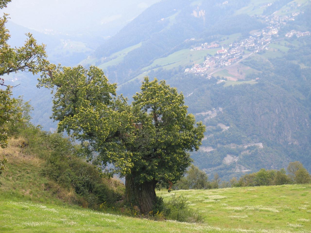 Leider liegt für dieses Bild keine Bildbeschreibung vor Leider liegt für dieses Bild keine Bildbeschreibung vor