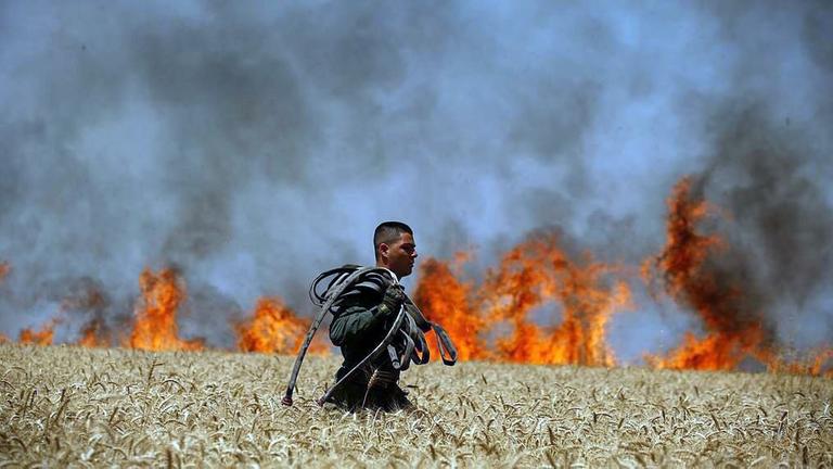 Die von der Israelischen Feuer- und Rettungsbehörde zur Verfügung gestellte Aufnahme zeigt einen Feuerwehrmann der mit Schläuchen durch ein Getreidefeld geht. Die von der Israelischen Feuer- und Rettungsbehörde zur Verfügung gestellte Aufnahme zeigt einen Feuerwehrmann der mit Schläuchen durch ein Getreidefeld geht.