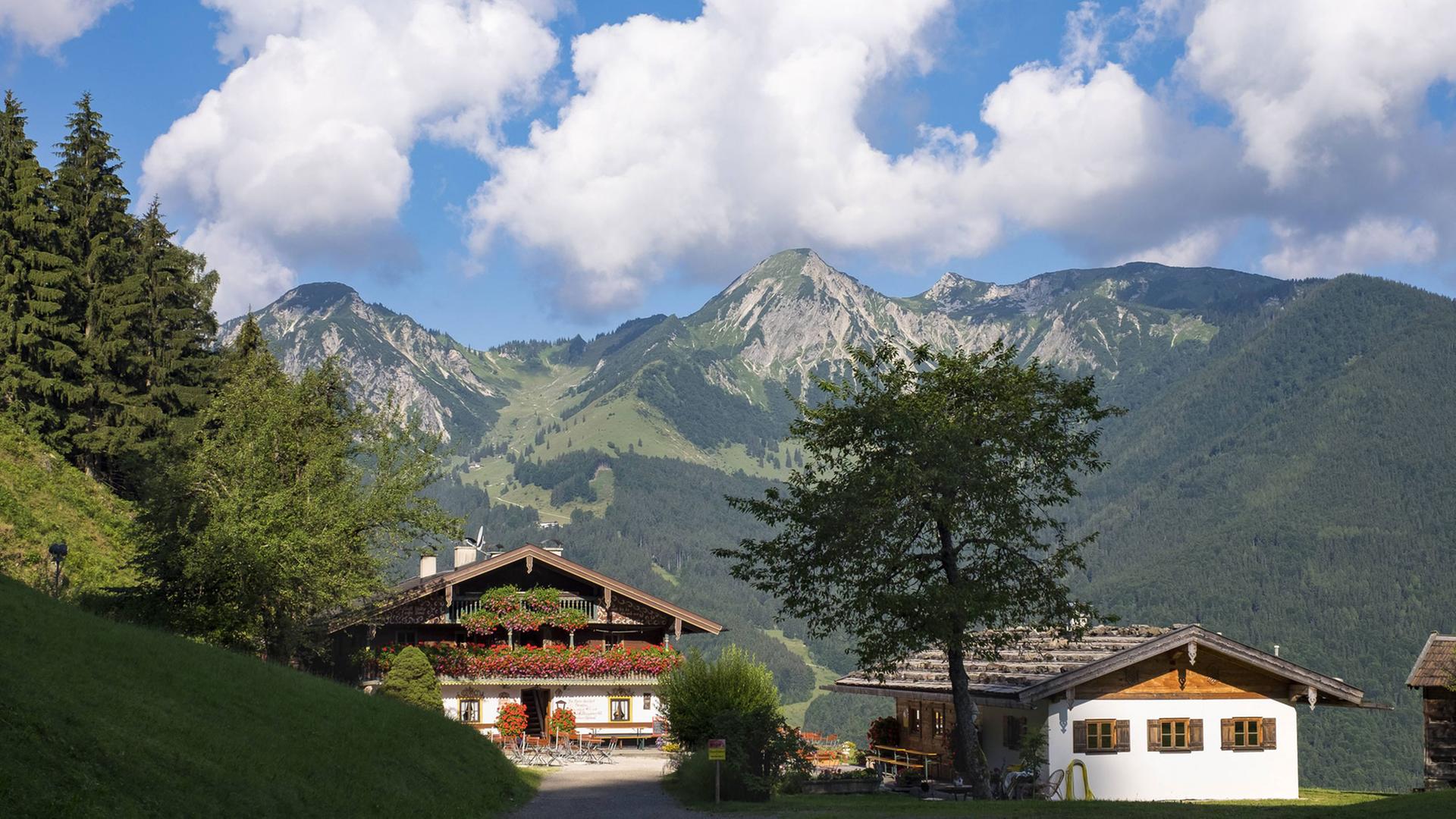 Bayerin im Chiemgau mit Breitenstein und Geigelstein. Bayerin im Chiemgau mit Breitenstein und Geigelstein.