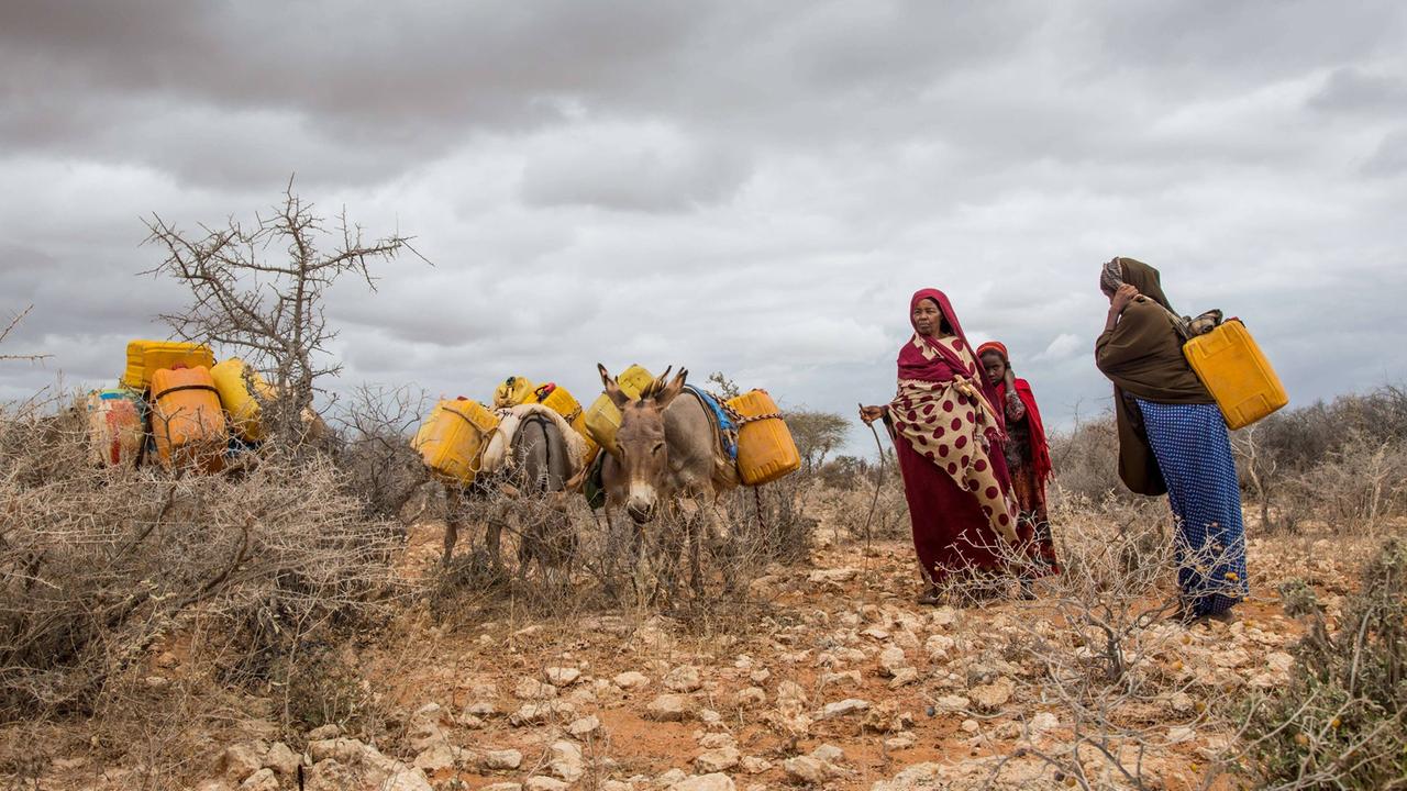 Frauen schleppen Wasserkanister von einem Brunnen in die kenianische Grenzstadt Mandera. Frauen schleppen Wasserkanister von einem Brunnen in die kenianische Grenzstadt Mandera.