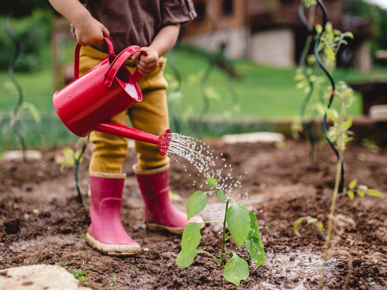 Ein Kind mit Gummistiefeln und Gießkanne bei der Gartenarbeit.