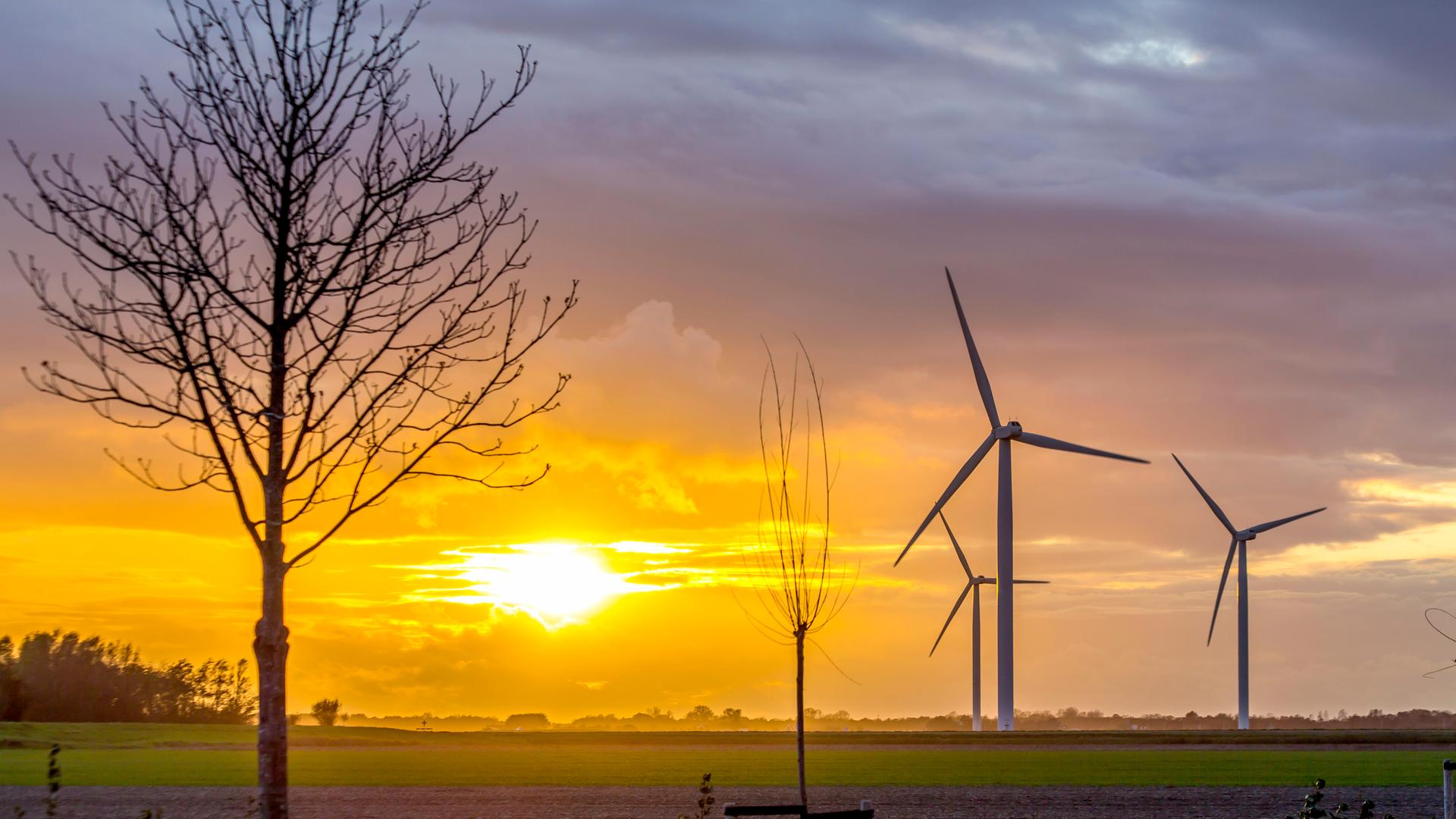 Windräder im Sonnenuntergang Windräder im Sonnenuntergang