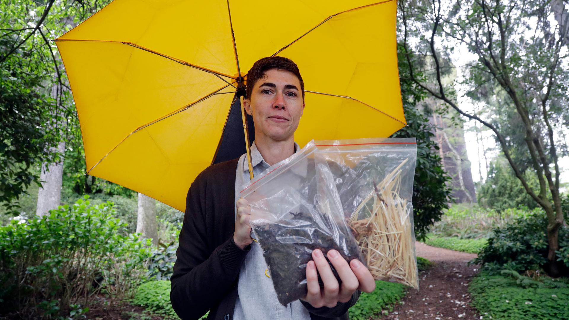 Katrina Spade, die Gründerin von Recompose, steht mit einem gelben Schirm auf einem Friedhof zwischen Bäumen. In den Händen hält sie Proben des Kompostmaterials, das bei der Zersetzung von Organismen anfällt. Katrina Spade, die Gründerin von Recompose, steht mit einem gelben Schirm auf einem Friedhof zwischen Bäumen. In den Händen hält sie Proben des Kompostmaterials, das bei der Zersetzung von Organismen anfällt.
