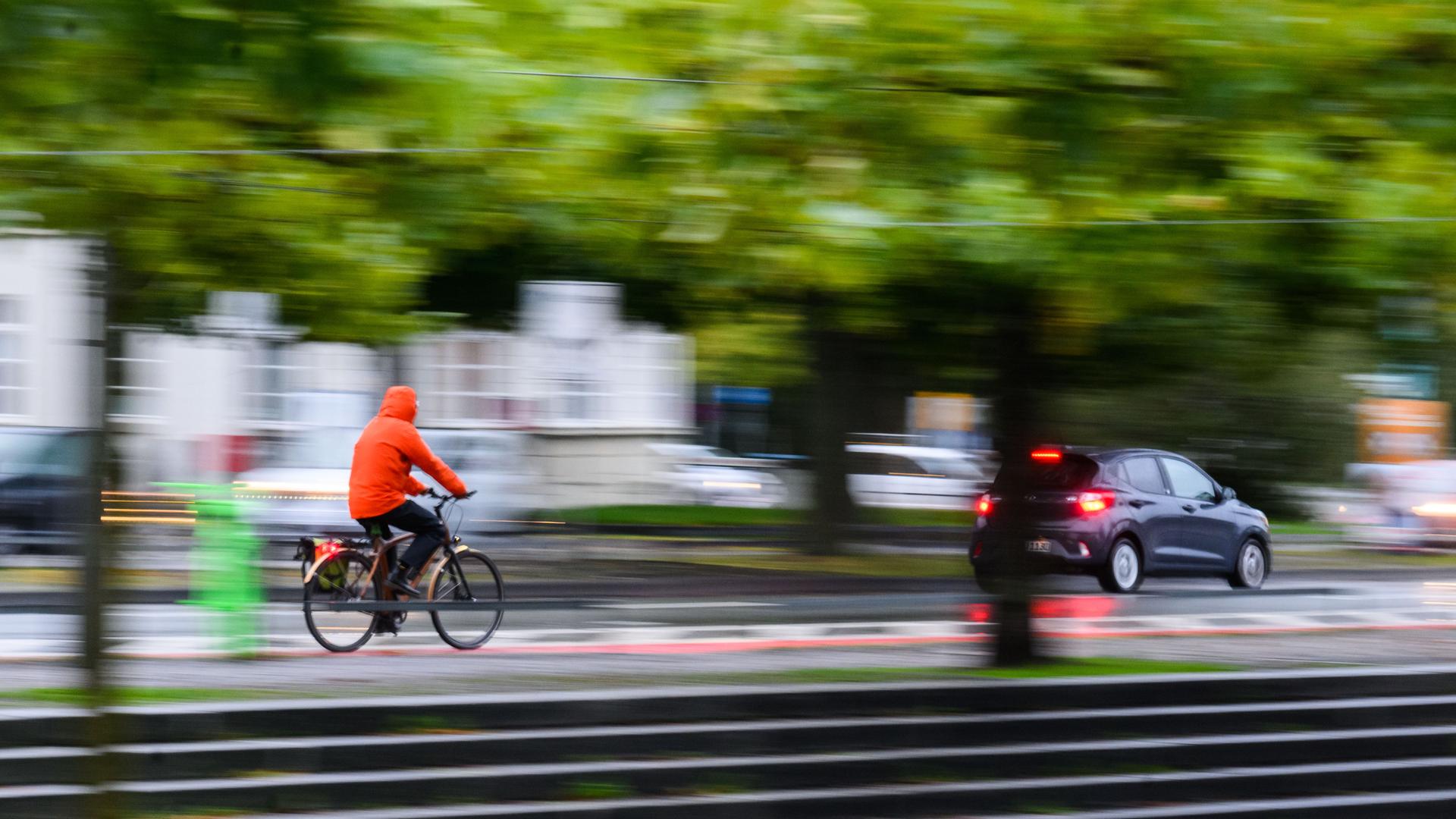 Ein Mann fährt mit einem Fahrrad am frühen Morgen neben einem Auto durch die Innenstadt auf einer Straße mit vielen Bäumen. Im Hintergrund sind weitere Autos  zu sehen.