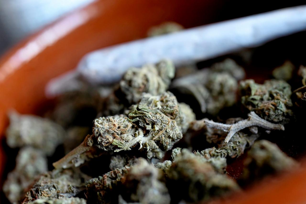 Cannabisblüten und ein Joint.