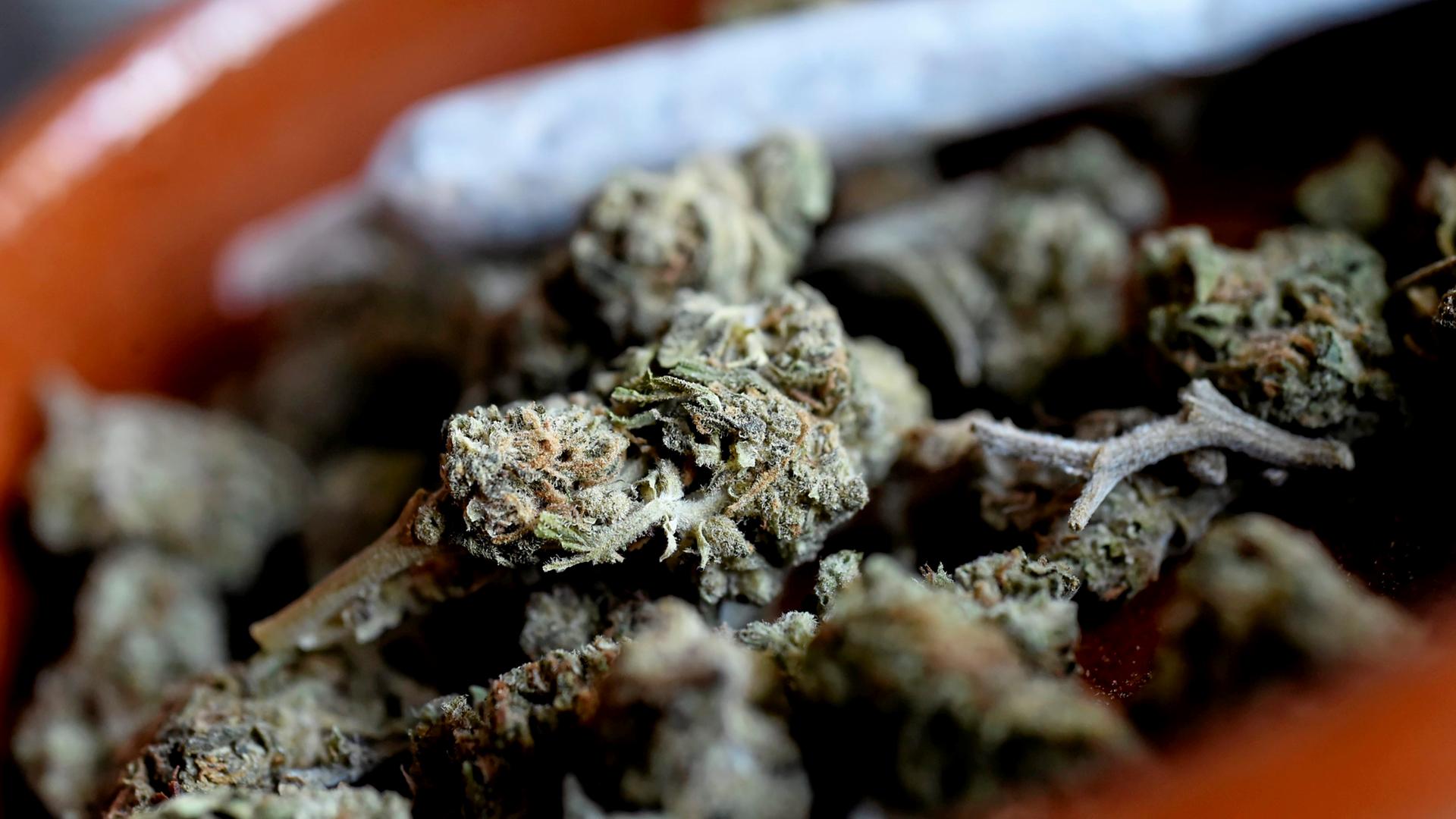 Legalisierung von Cannabis - Bundesregierung plant Anhebung der Obergrenze für erlaubten Besitz