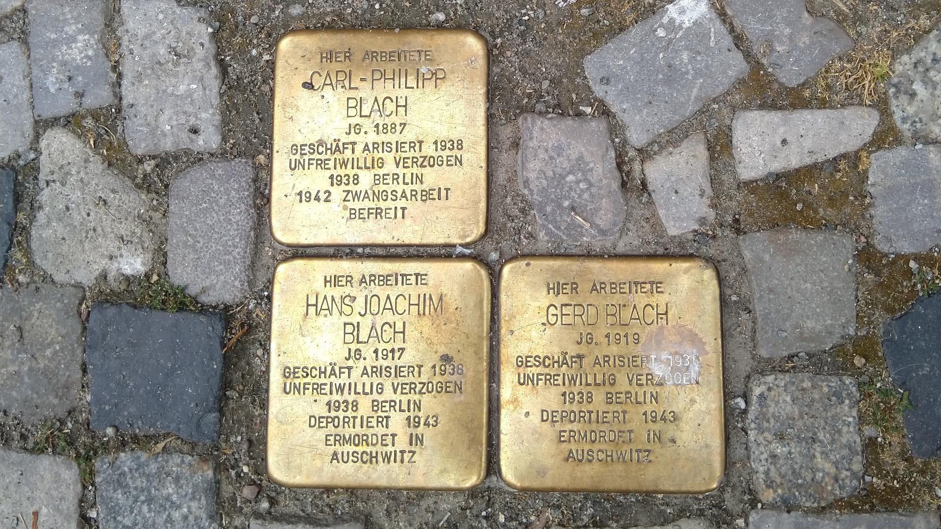 Drei glänzend polierte Stolpersteine im Kopfsteinpflaster. Sie erinnern an Familie Blach. Drei glänzend polierte Stolpersteine im Kopfsteinpflaster. Sie erinnern an Familie Blach.