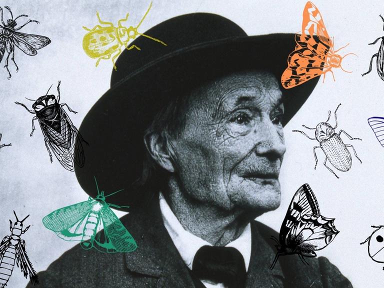 Eine Collage vom Portrait Jean-Henri Fabre mit Insekten. 