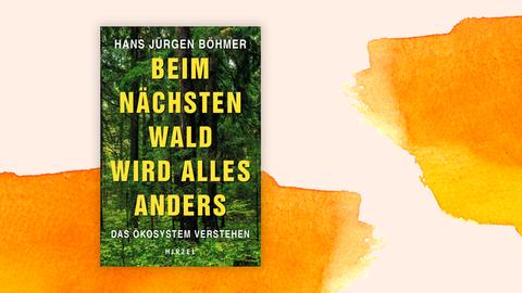 Das Cover von "Beim nächsten Wald wird alles anders. Das Ökosystem verstehen" zeigt ein Foto eines Waldes, darauf in gelber Schrift der Buchtitel und der Autor. Hinter dem Cover sind orangene Farbverläufe zu sehen.