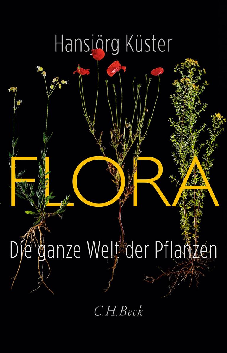 Das Buchcover "Flora" von Hansjörg Küster zeigt mehrere Pflanzen. Das Buchcover "Flora" von Hansjörg Küster zeigt mehrere Pflanzen.